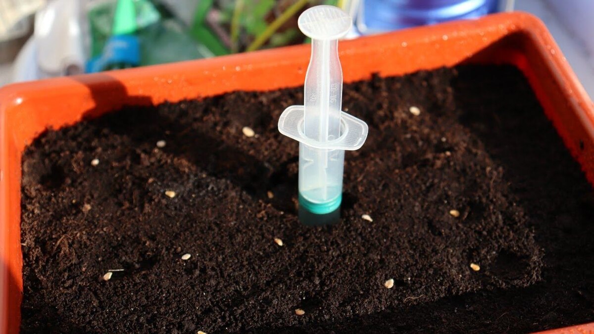 Посев семян