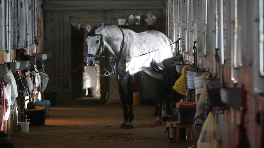    Фото: ИЗВЕСТИЯ/Владимир Суворов