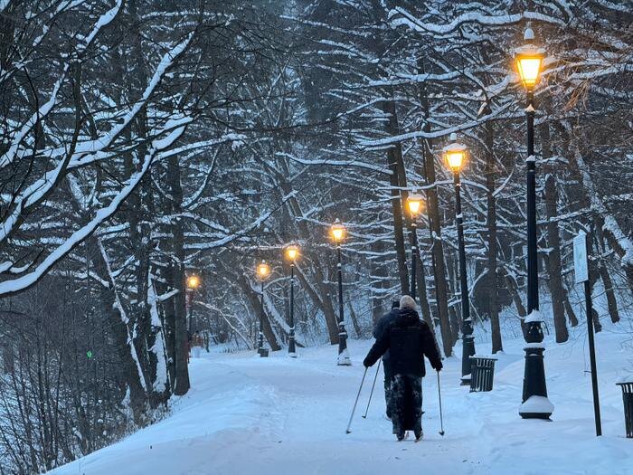 Обложка © Life.ru