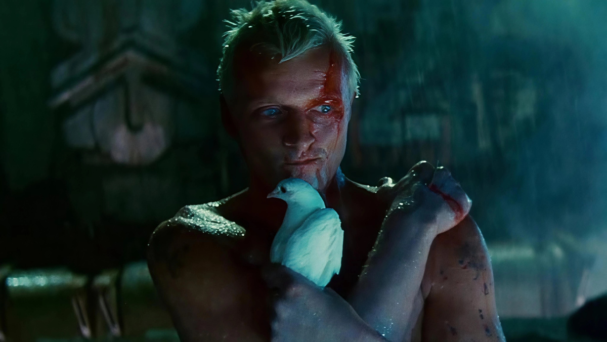 Рой Бэтти. Кадр из фильма "Бегущий по лезвию" (1982)/реж. Ридли Скотт