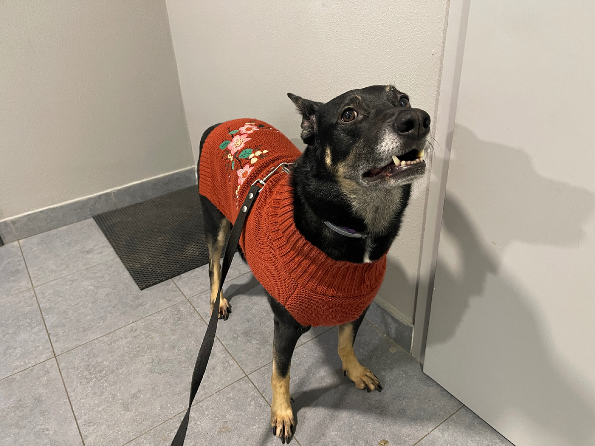 Попробую сегодня поделиться всеми мыслями