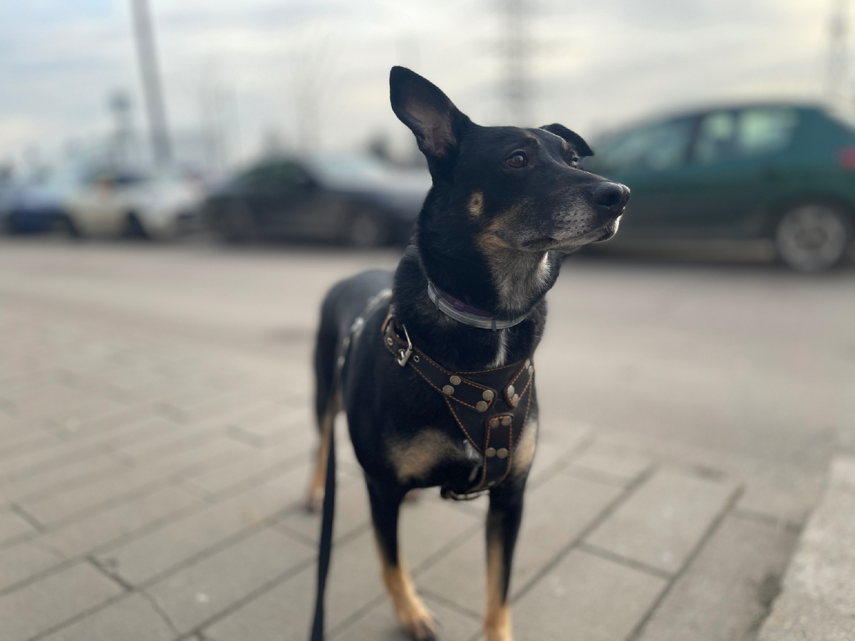 Ну прям идеальное комбо 😅! Всё тут сложилось!