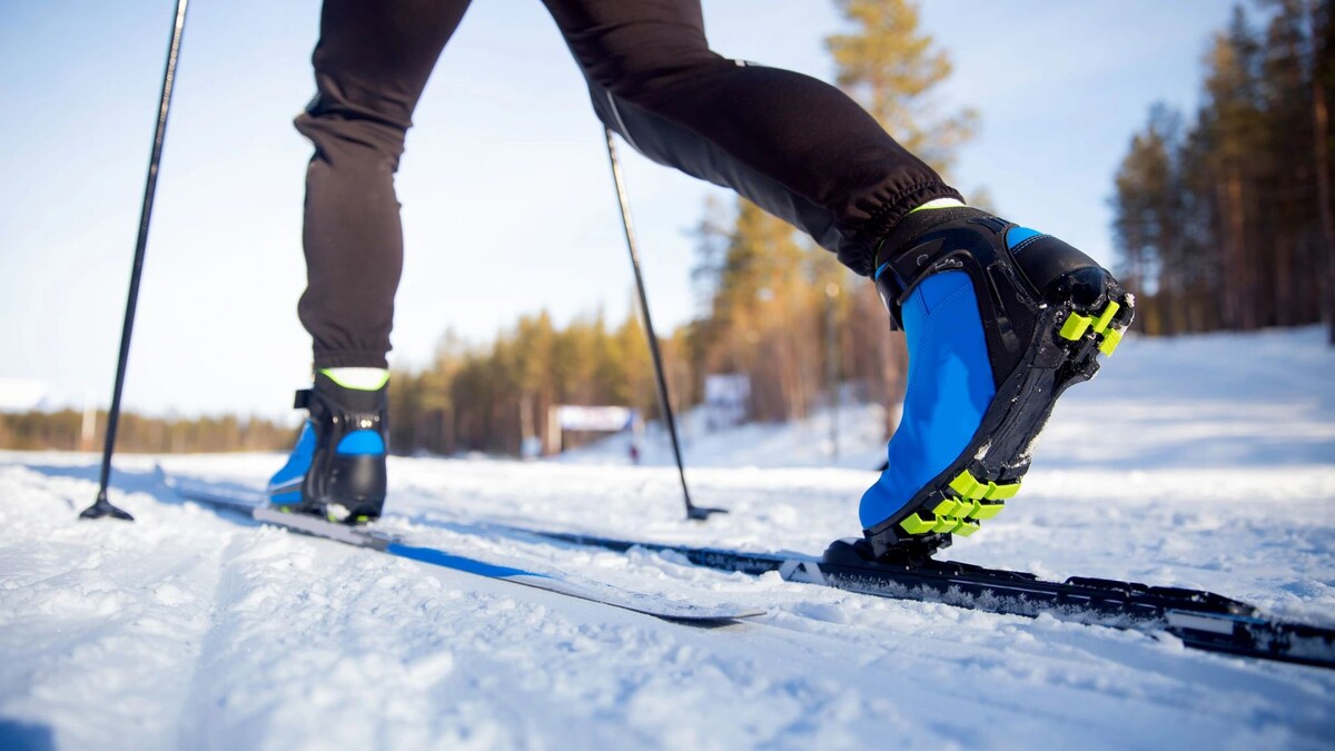    Фото: Parilov/Shutterstock/Fotodom