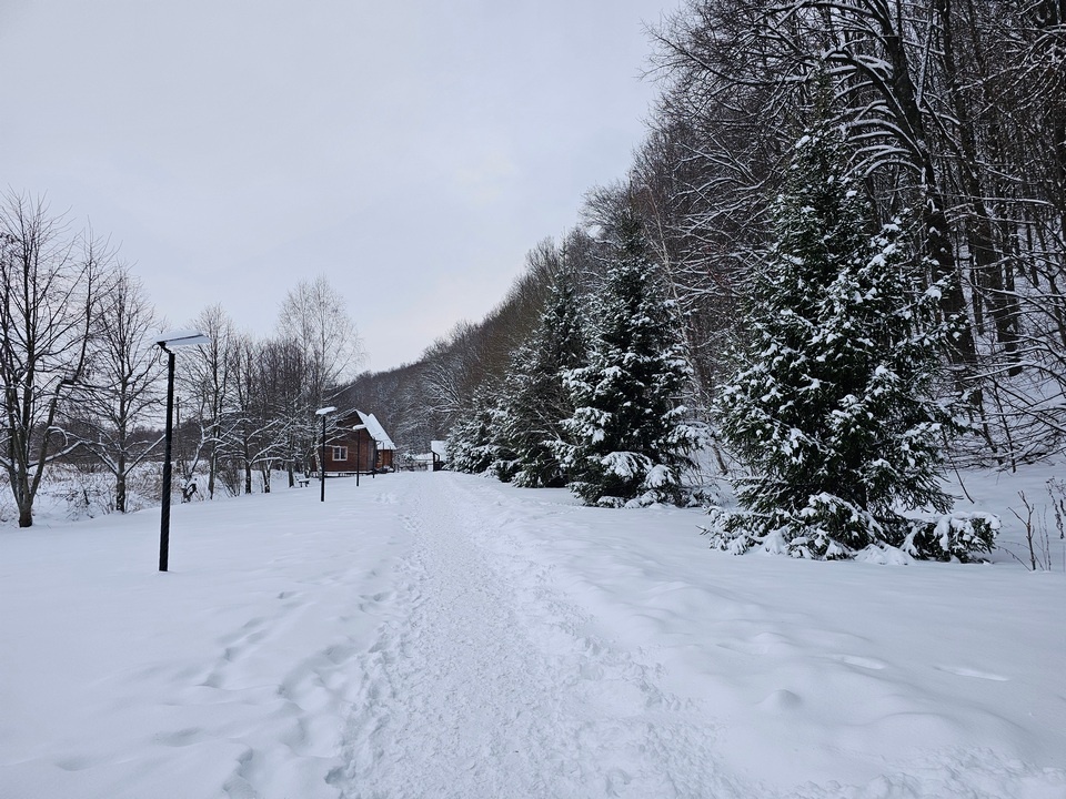    Фото: REGIONS/Александр Дрожжин