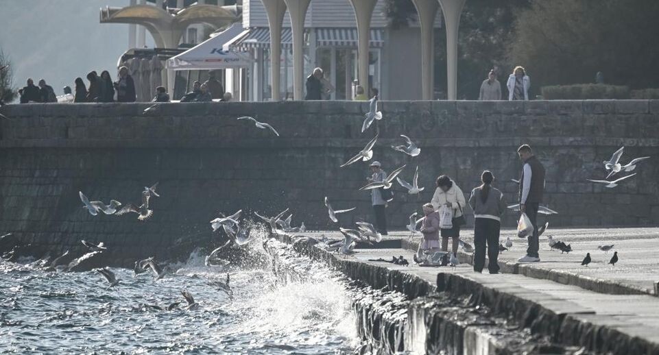    РИА «Новости»