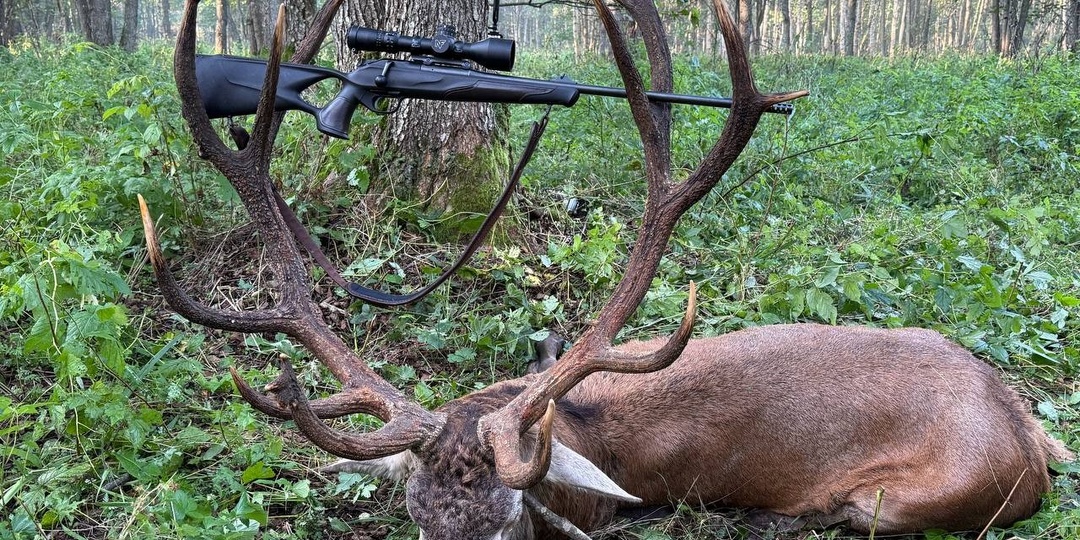 Беларусь: традиции охоты и охота как отрасль хозяйства