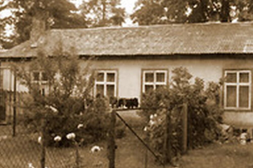    После первого убийства Рогалев залег на дно до весны. Новое нападение он совершил лишь в марте 1981 года. Кадр видео.