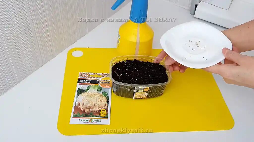 Сельдерей, перцы и баклажаны сеют первыми