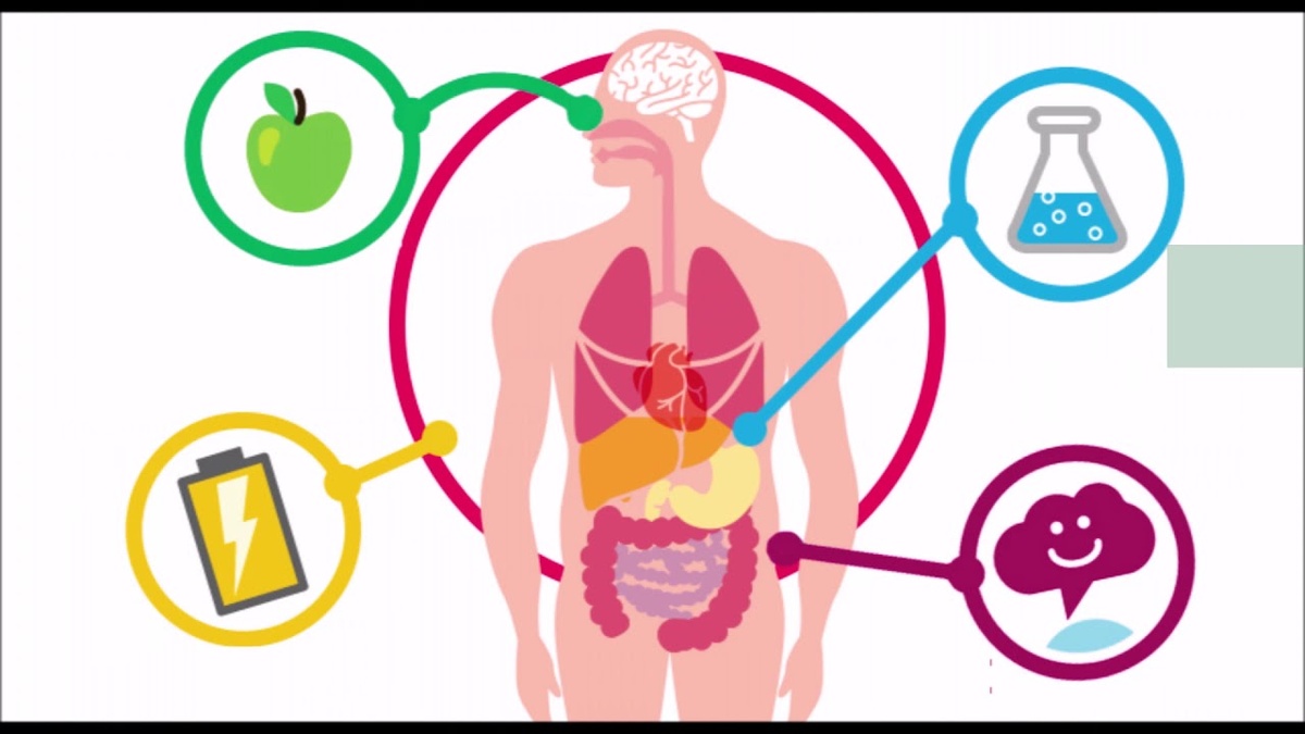 Как понять что Нарушился Обмен Веществ в организме (чек-лист)