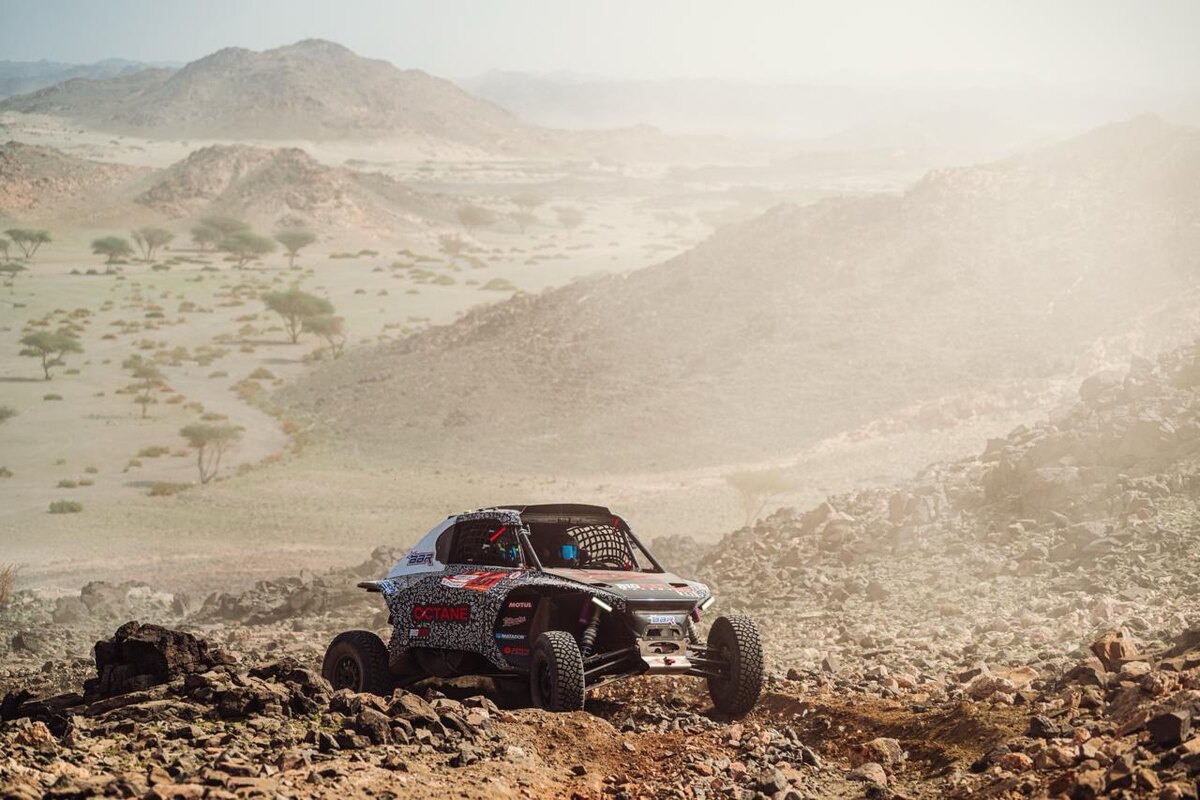 Фото: Сергей Ременник  📷
