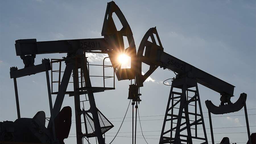    Фото: ТАСС/Егор Алеев