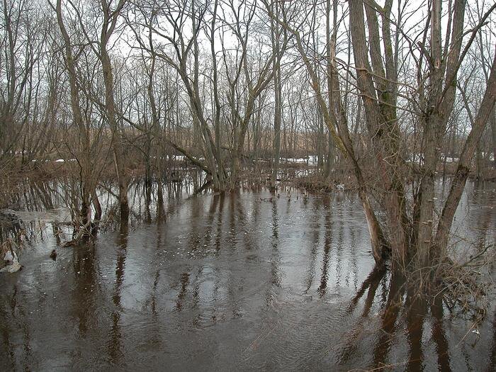 Обложка © Wikipedia / Владимир Грызлов