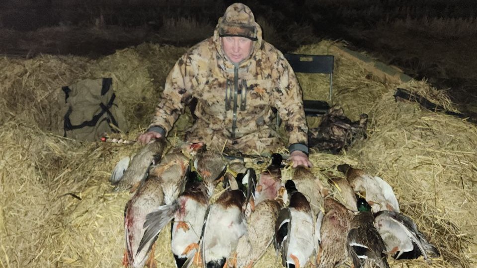 Сегодня вечерка удалась