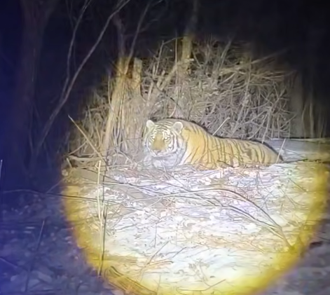    Источник фото: