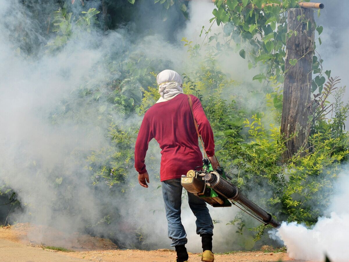    Профилактика лихорадки Денге | © Fotolia / anankkml