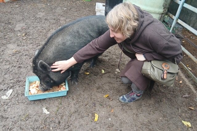    Фото: Крылья надежды — помощь птицам в Астрахани
