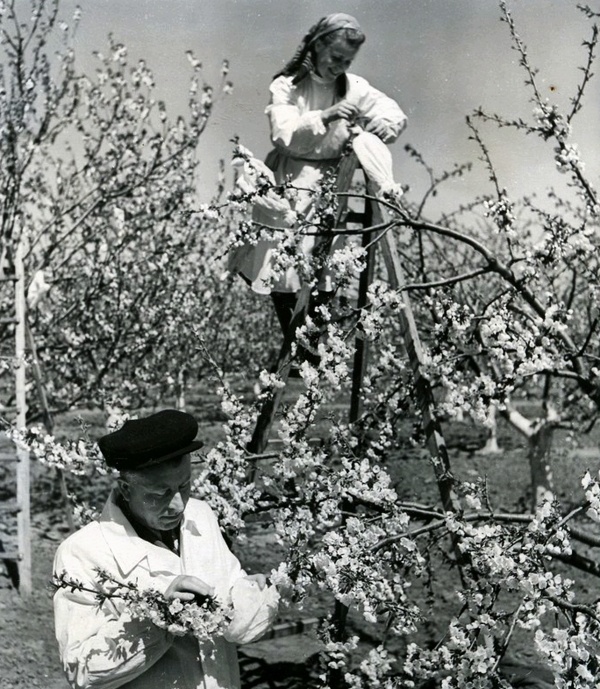 Фото из открытых источников