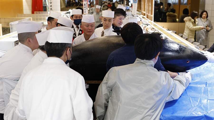    Фото: TASS/FRANCK ROBICHON