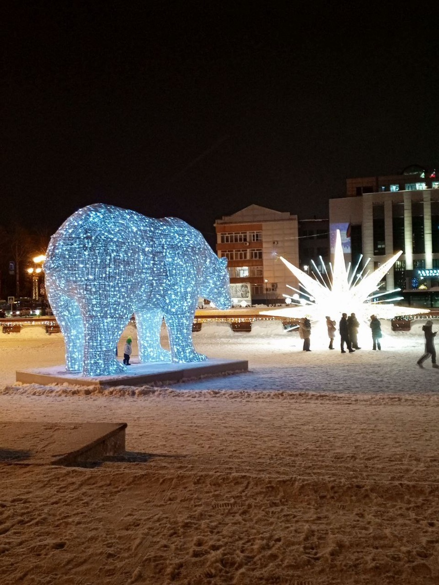 Северные медведи.