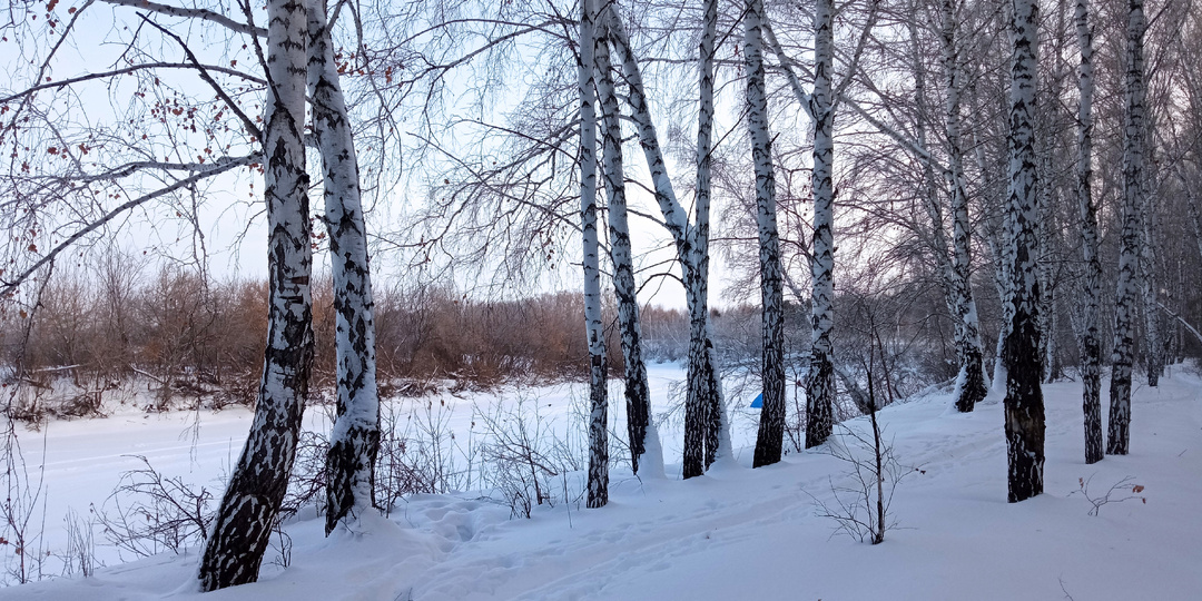 Рецензия на "Риск в походе. Просто. Коротко"