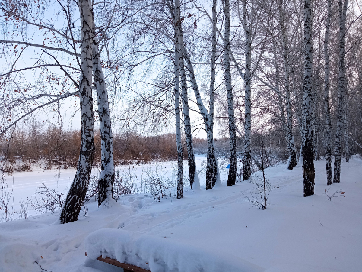 Просто мое фото зимнего леса.