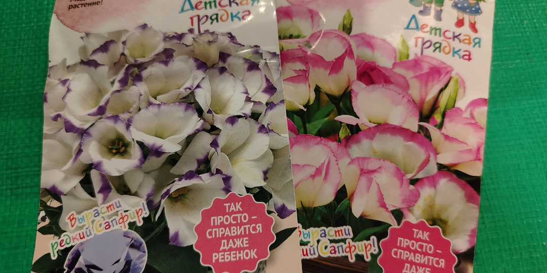 С началом посадочного сезона