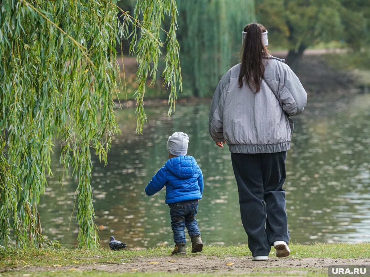     Депутат от «Единой России» Чаплин раскрыл детали повышения социальных выплат