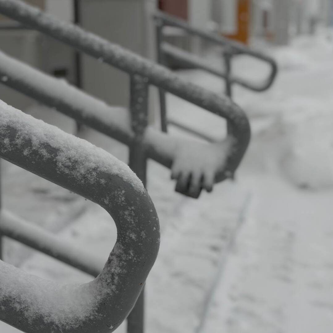 один день ноября 2025