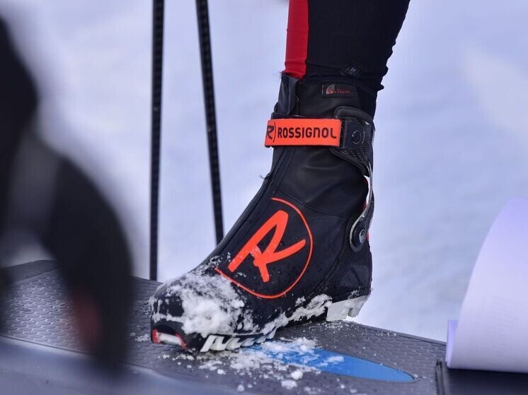     Фото: Андрей Ткачев/«Ямал-Медиа»