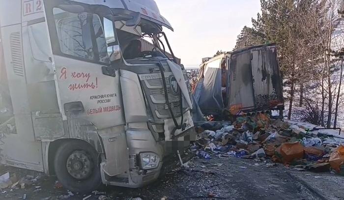 Обложка © Telegram / Госавтоинспекция Забайкалья