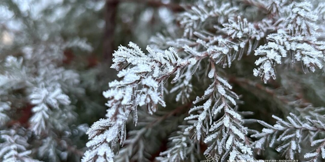 Прогноз погоды на 5 января в Великих Луках