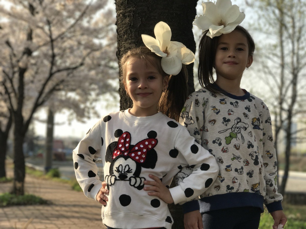 Период цветения могнолии совпадает с цветением сакуры 