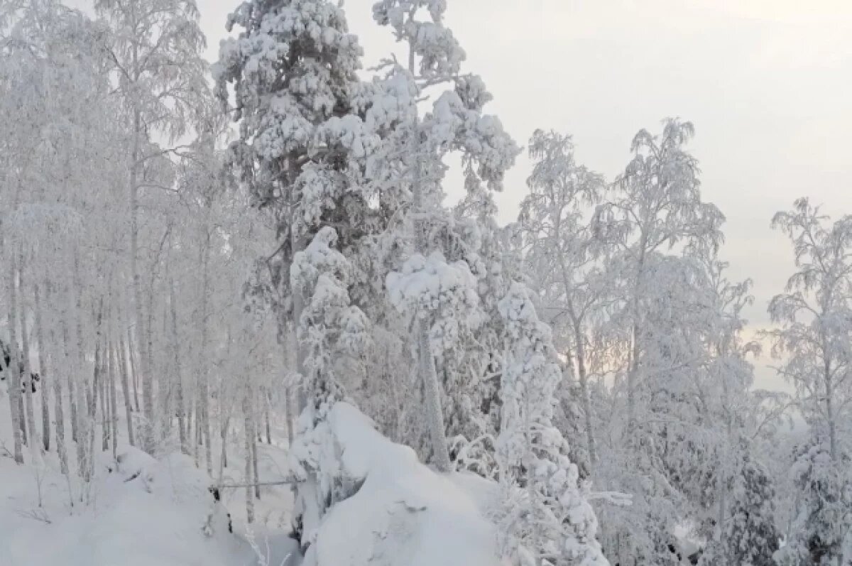    Новосибирцам напомнили правила безопасности при отдыхе на природе