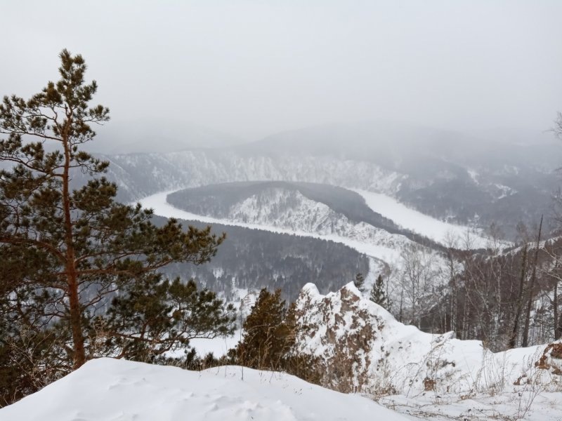 фото: яндекс