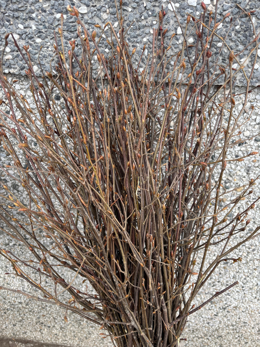 Веник-метла