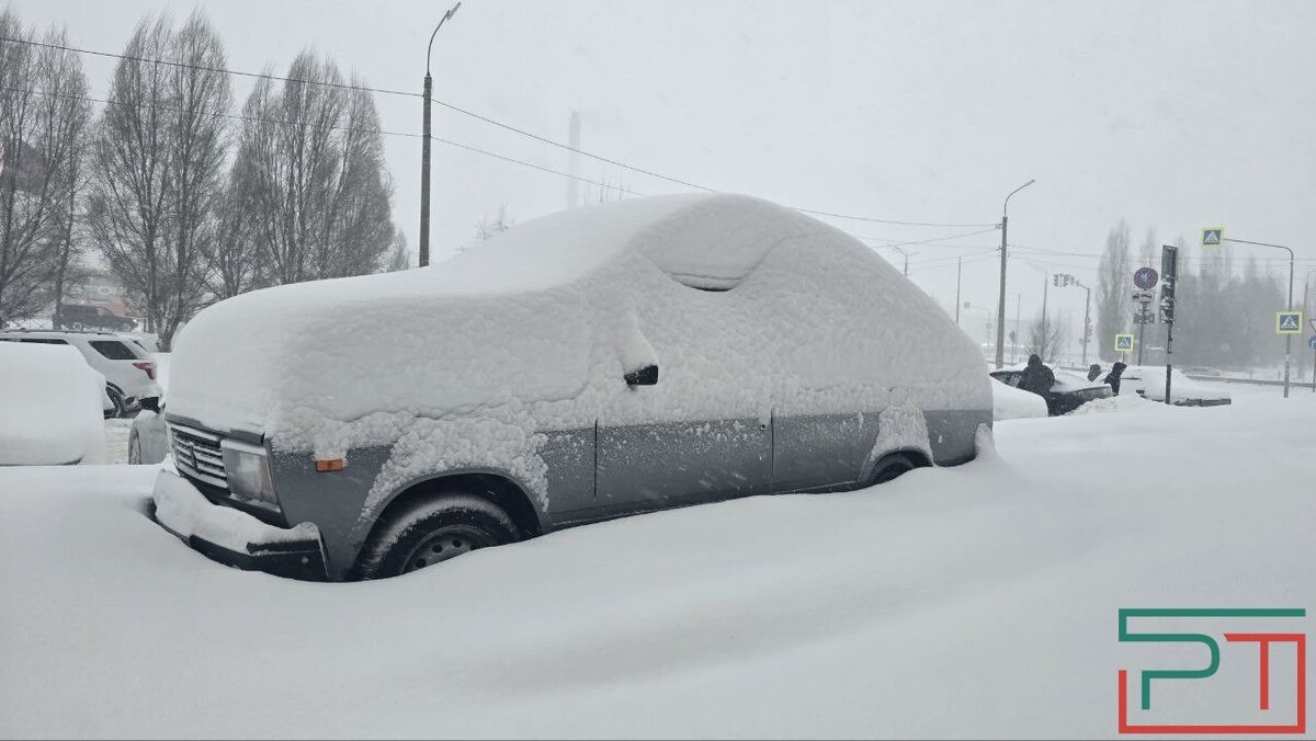 Фото: Сергей Семеркин / «РТ»