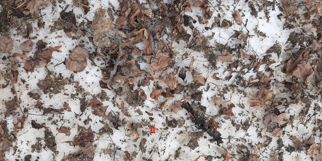 Встрёлки / Часть первая / Ужастики / Суеверия