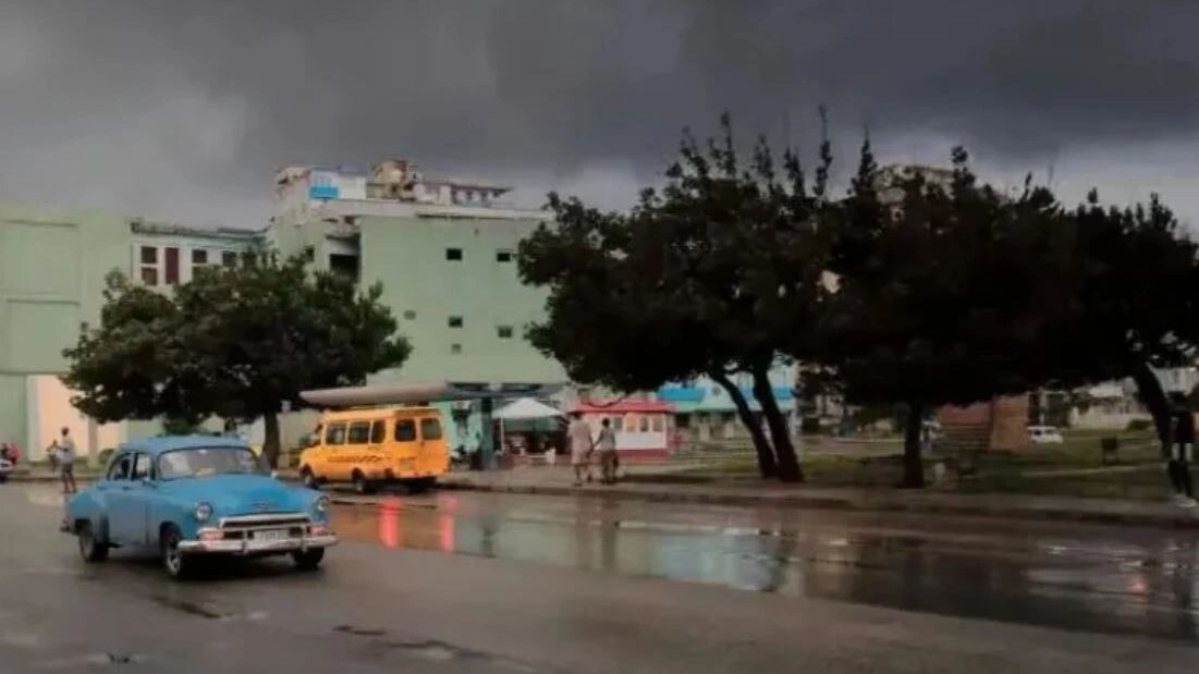    Фото: rweisswald/Shutterstock/Fotodom