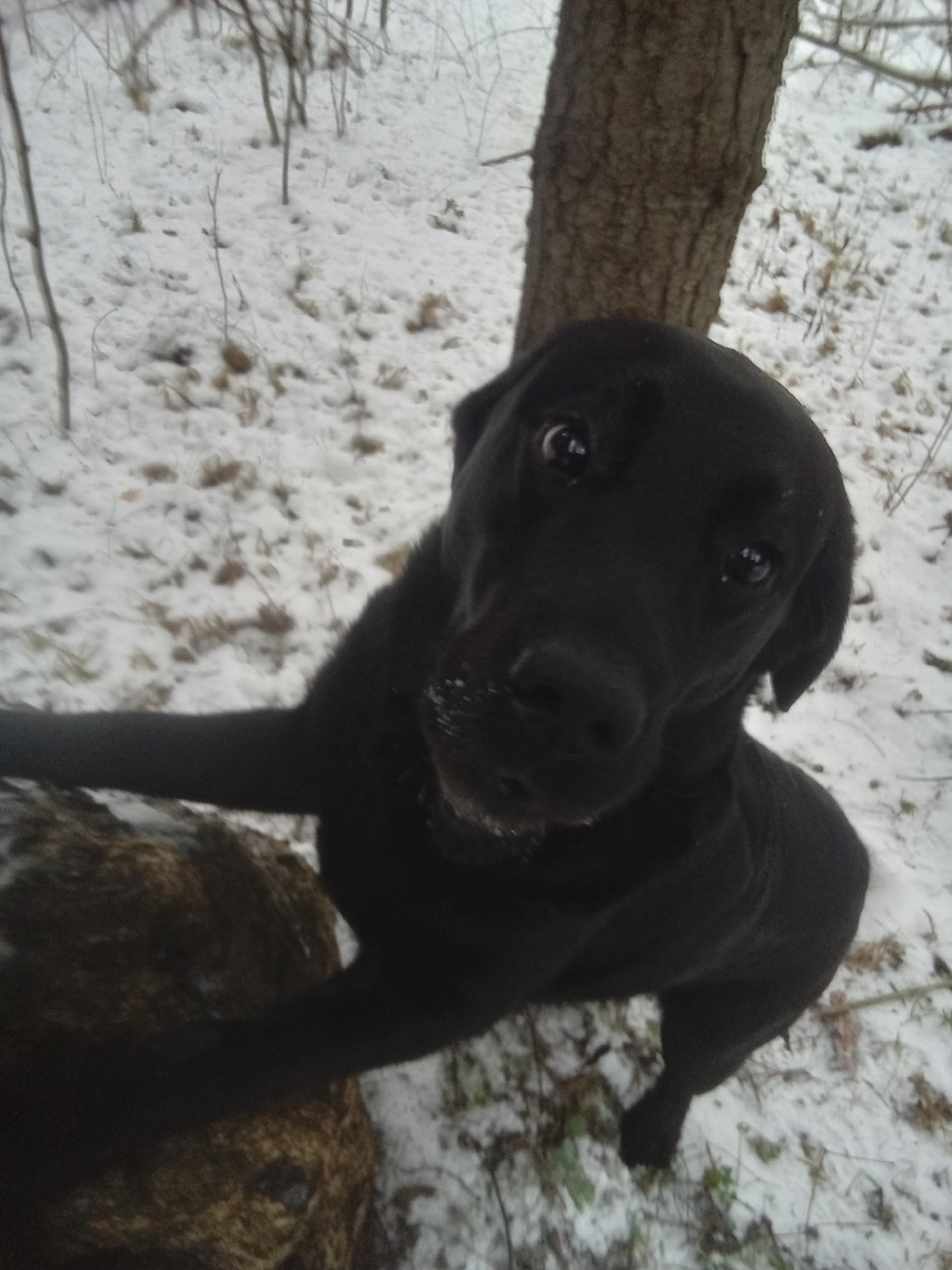 Фото автора . 