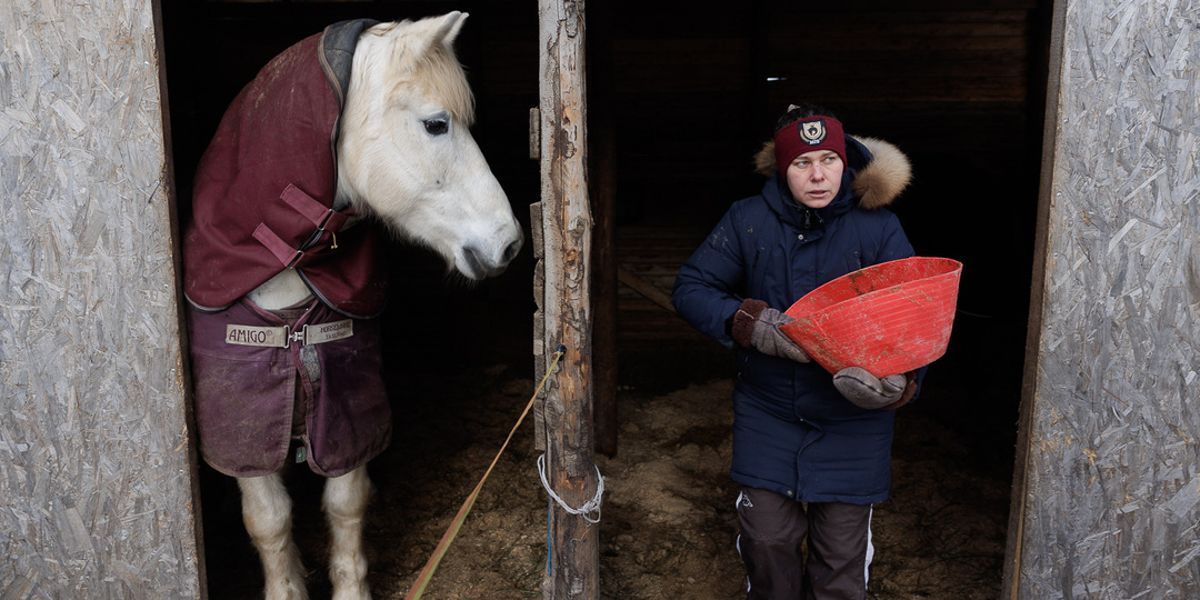 «Отработали» свое и больше никому не нужны. Белоруска спасает «списанных» лошадей