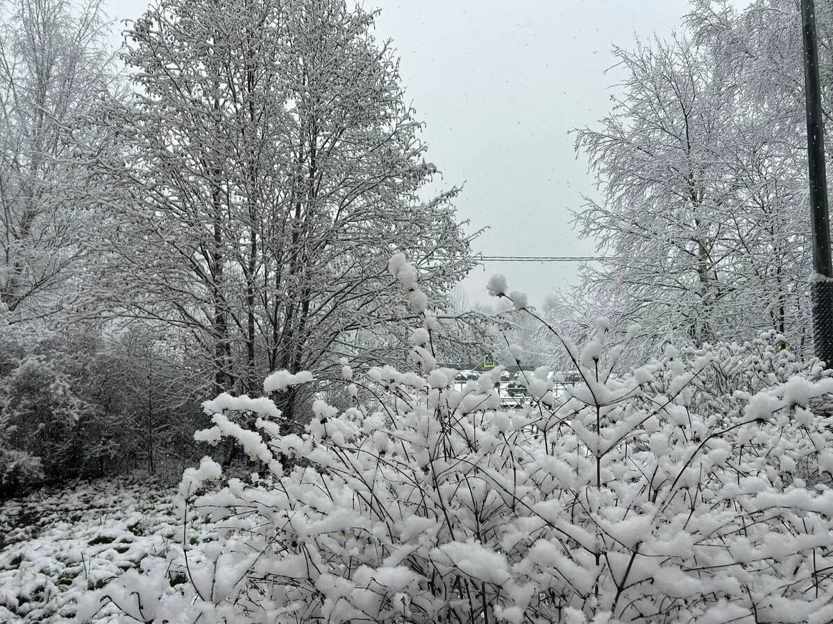    Фото: Мойка78