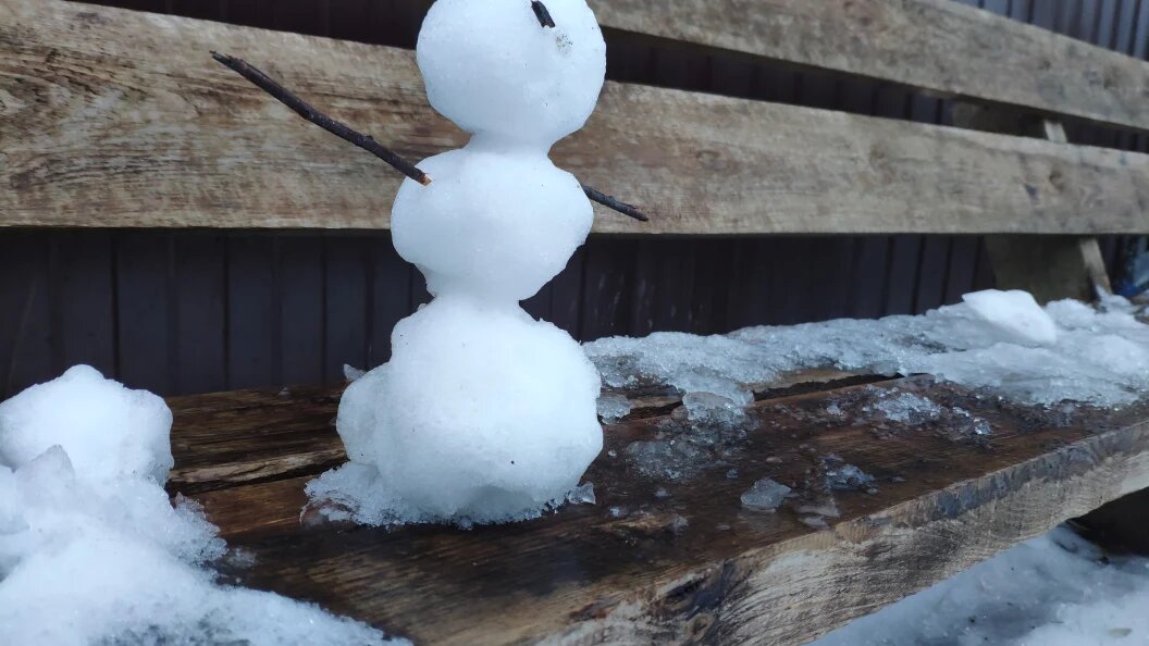    фото: Царьград