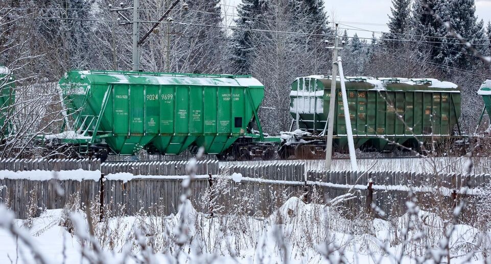    Elena Mayorova/Global Look Press / www.globallookpress.com