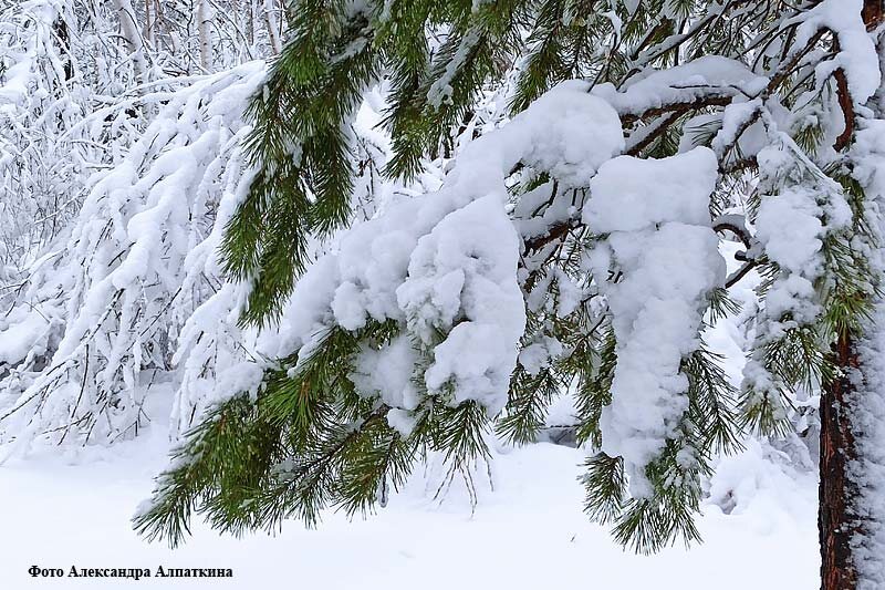 Пришёл Федул – ветер подул