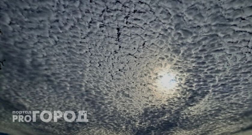    Фото: volgogradru.com