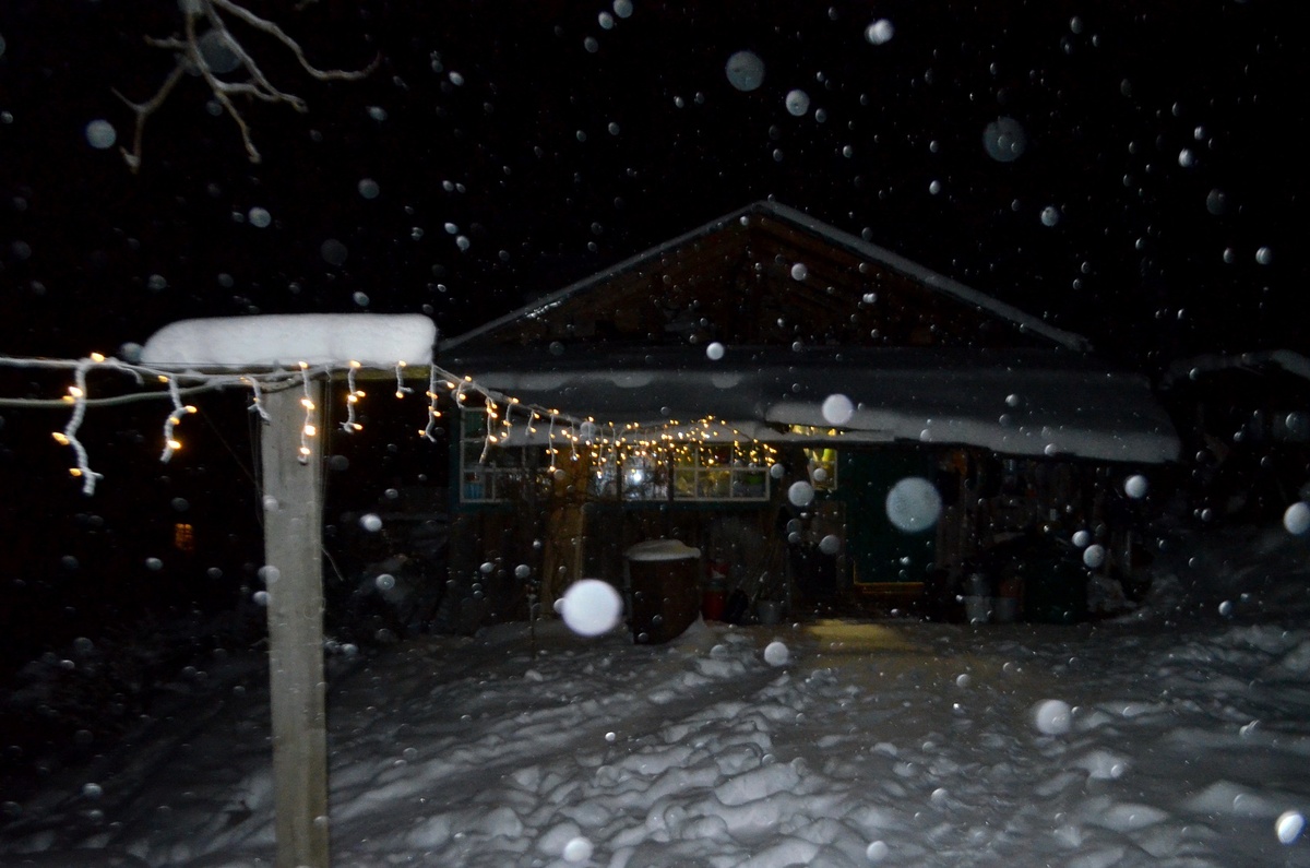 долгожданный снегопад