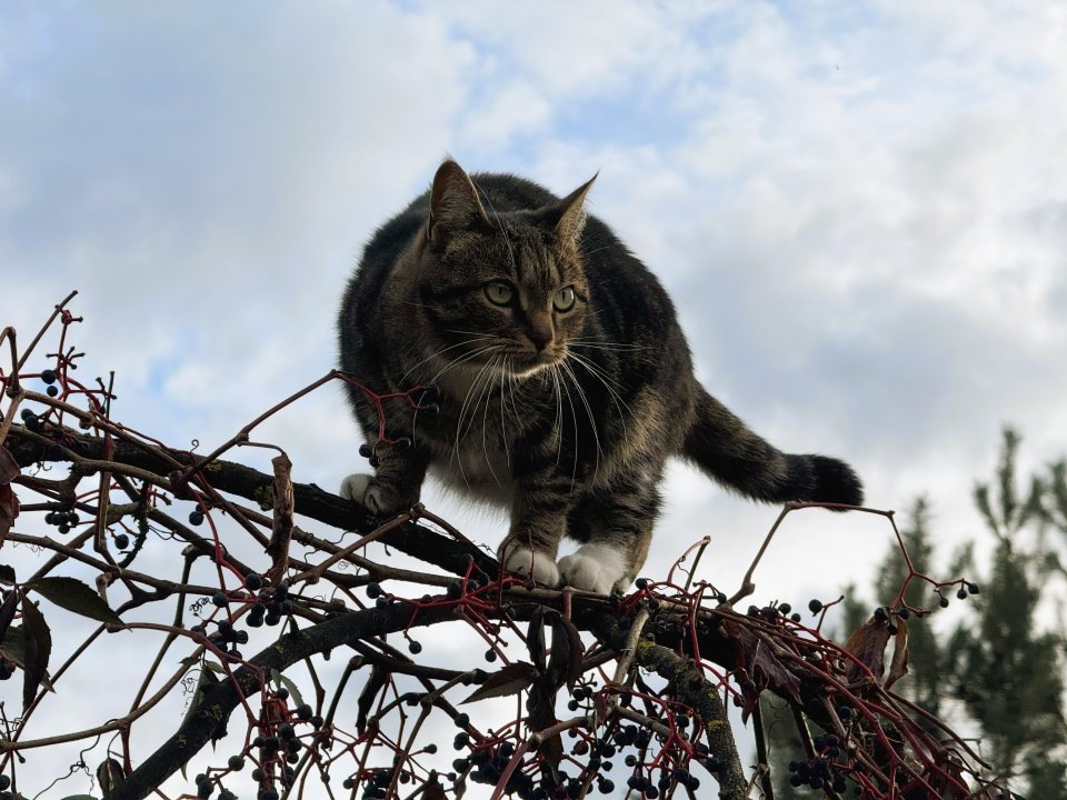    Фото: REGIONS/Илья Попов