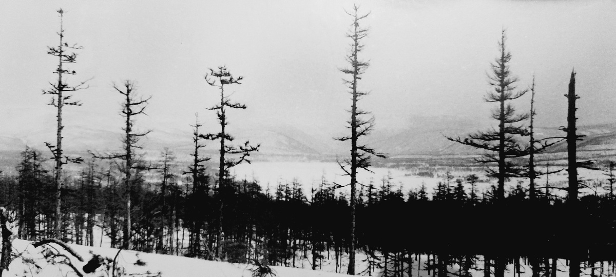 Зима в тайге.