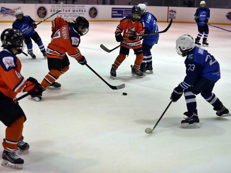     Архивное фото с турнира им. Рагулина / https://goldenpuck.ru
