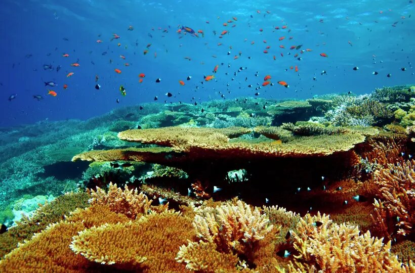 Первый отель под брендом Wildberries откроется в Египте 15 января